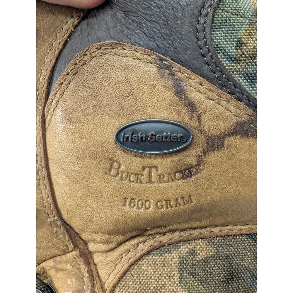 Irish Setter built cold
